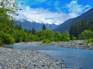 A picture of a spot on the Hoh river that I did not take. 