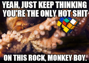 Photo of an octopus manipulating a Rubik's Cube. The image is accompanyed with a caution about human arrogance.